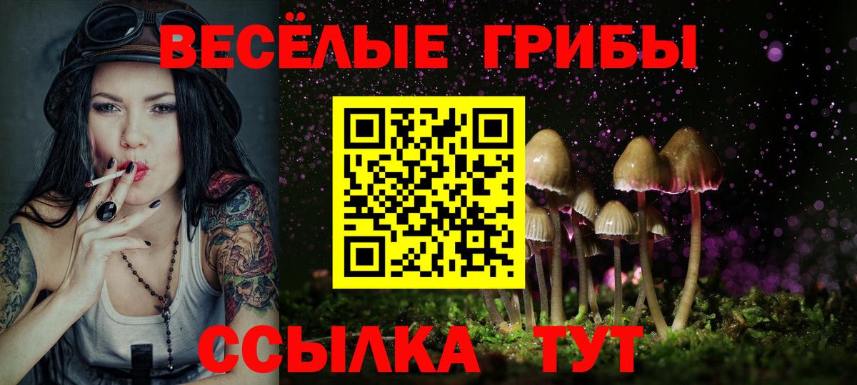 Галлюциногенные грибы мицелий Карталы