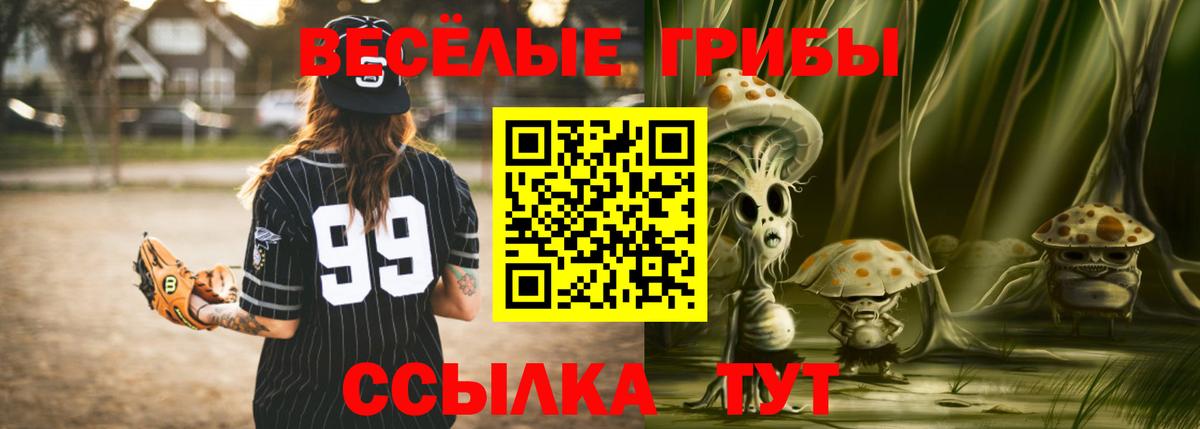 купить закладку  Вход с VPN  Карталы  Галлюциногенные грибы GOLDEN TEACHER 